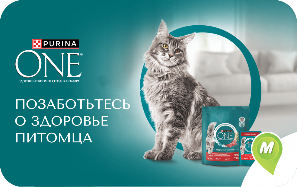 Позаботьтесь о здоровье питомца. Purina ONE