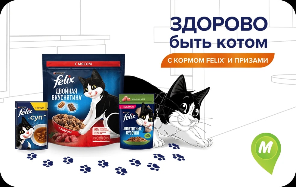 Здорово быть котом с Felix!